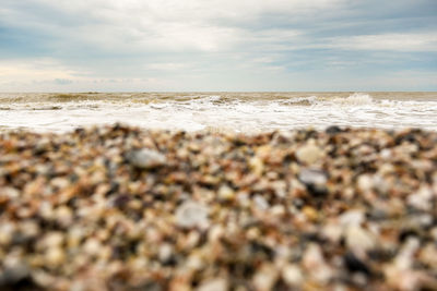 Surface level of beach against sky