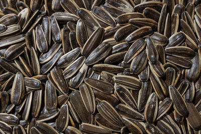 sunflower seed