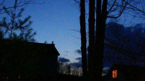 Bare trees against sky at dusk