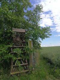 Trees on field against sky