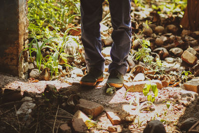 Low section of man standing on leaves