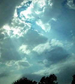 Low angle view of trees against cloudy sky