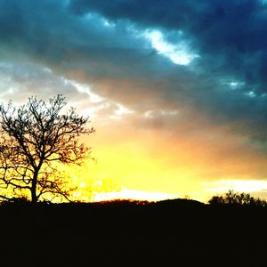 Silhouette of bare trees on landscape against sunset sky