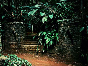 Entrance of old building