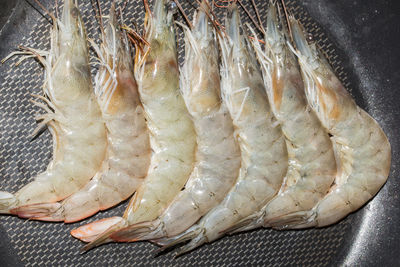 Close-up of prawns in pan