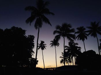 Silhouette palm trees against sky at sunset