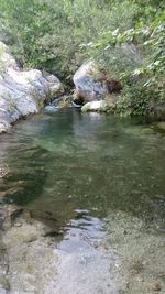 Stream flowing through rocks