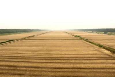 Scenic view of field against clear sky