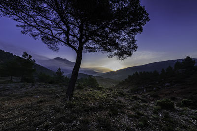 Scenic view of landscape against sky during sunset