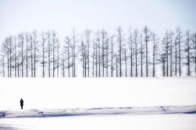 Woman on snow covered landscape