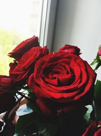 Close-up of rose bouquet