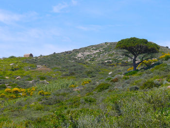 Scenic view of land against sky