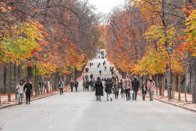 People on road during autumn