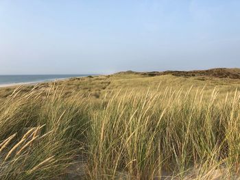 Scenic view of sea against clear sky