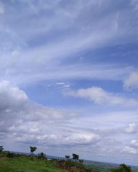 Low angle view of trees on field against sky