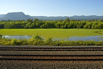 Empty railroad tracks by swamp against sky