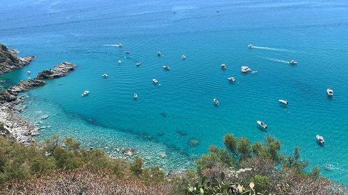 High angle view of sailboats in sea