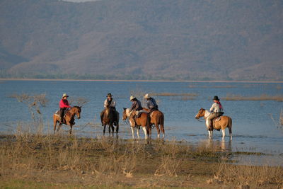 People riding horses in a lake