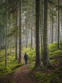 Man in forest