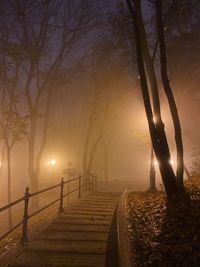 Illuminated footpath amidst trees against sky during sunset