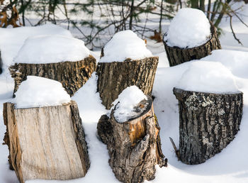 Close-up of snow on field during winter