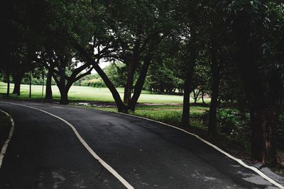 Road amidst trees against sky