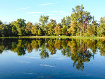 Reflection of trees in calm lake against blue sky