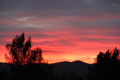 Silhouette trees against sky during sunset