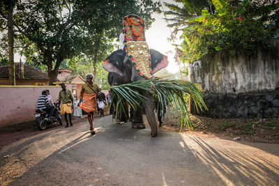 View of people riding horse on road