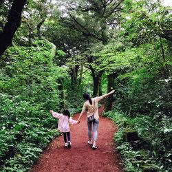 Rear view of siblings standing on tree