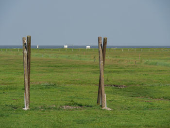 Hallig hooge in the north sea