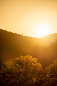 Scenic view of landscape against clear sky during sunset