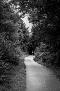 Image of road amidst trees against sky