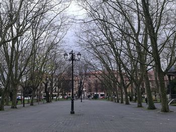 Street amidst bare trees against sky