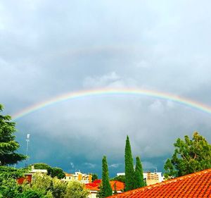 Rainbow over trees against sky