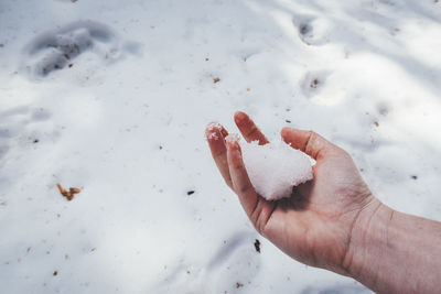 Close-up of hand holding snow