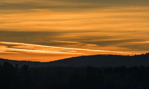 Scenic view of silhouette forest against orange sky