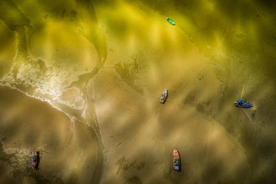 High angle view of people in water