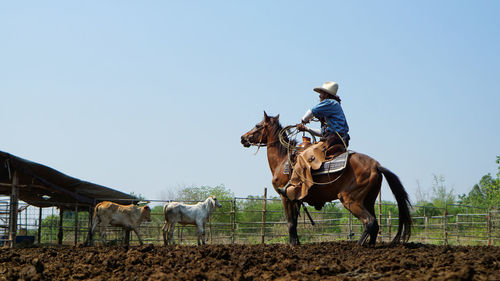 Man riding horse on field against clear sky