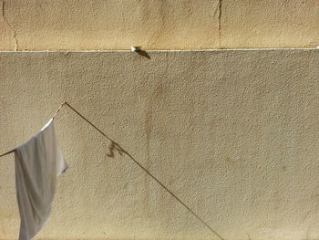 Low angle view of clothesline against wall