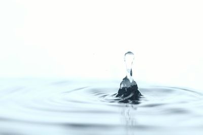 Close-up of drop splashing in water