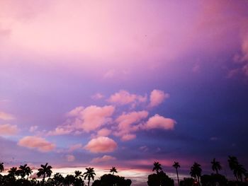 Low angle view of silhouette trees against sky during sunset