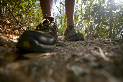 Low section of man standing on ground