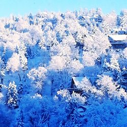 Scenic view of snow covered landscape