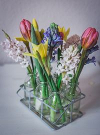 Close-up of multi colored tulips in vase