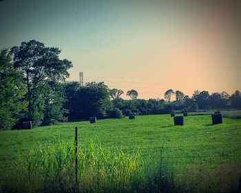 Scenic view of agricultural field against sky during sunset