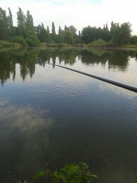 Reflection of trees in water