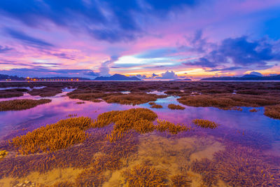 Scenic view of lake against sky during sunset