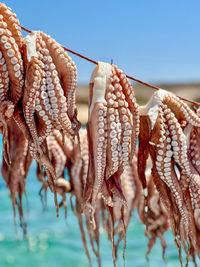 Close-up of rope