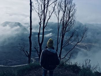 Rear view of woman looking at landscape against sky